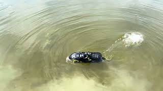 Lady Jaye maidening the 110 Scale UDIRC Inkfish Jet Ski [upl. by Armilda360]