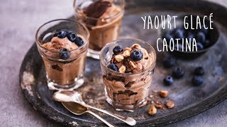 Recette Yaourt Glacé Caotina [upl. by Gotthelf]