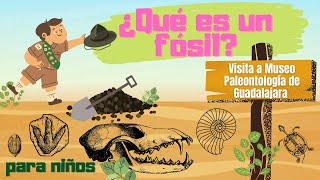 ¿Qué es un fósil para niños visita al museo de paleontología de Guadalajara [upl. by Riddle]