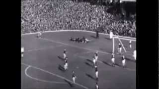 George Best vs Scotland 1967 [upl. by Ahtiuqal]