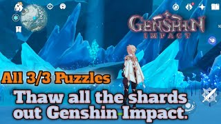 Thaw all the shards out Genshin Impact All 33 Puzzles [upl. by Joost862]