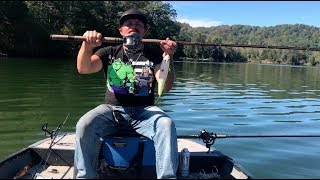 Fenwick Rods  2023 New Rod Design [upl. by Adnolahs823]