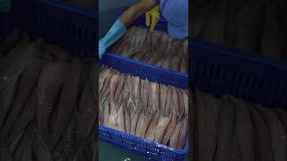 Process of Making Boneless Mackerel Seafood Production Plant in Korea [upl. by Ahsenyl871]