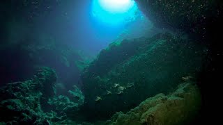 Fish Hook Bay Dive  Rottnest Island [upl. by Sonnnie]