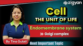 Golgi body  Golgi complex  Golgi apparatus  Endomembrane system  NEET  Dictyosome [upl. by Yrral]