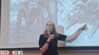 Colorado Brown Tarantula Mating Study in La Junta w Cara Shillington PHD w EMU Arachnid Lab [upl. by Hnib168]