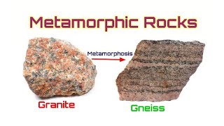 What are Common Igneous Rocks [upl. by Annaeerb]