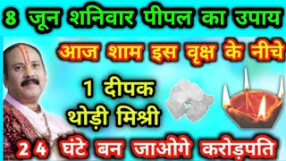 8 जून शनिवार ज्येष्ठ मास आज शाम 1 दीपक मिश्री इस वृक्ष के नीचे 24 घंटे में मनोकामना पूरी pradeep [upl. by Haya]