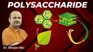 Polysaccharide  Carbohydrate  Class 11 Biology  by Dr Bhojoo Mal [upl. by Nariko196]