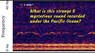 Strange amp Unidentified Sounds Recorded Under The Ocean  What are they [upl. by Hazrit]