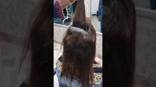 BackCombing Easy Hairstyle Tricks by Lashes Beauty Parlour shorts viralvideo [upl. by Anastassia250]