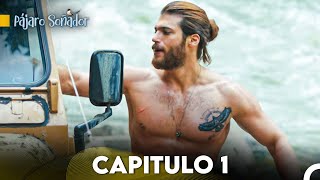 Pájaro soñador  Capitulo 1 Audio Español  Erkenci Kuş [upl. by Madid]