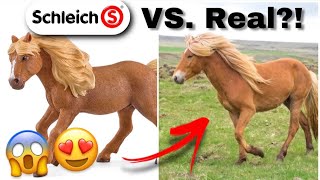 2022 Schleich Horses in REAL LIFE  Schleich Pferde [upl. by Sager870]