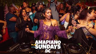 Amapiano Live Mix  AmapianoDMV x PRIYANKA [upl. by Avilys441]