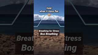 Breathing for Stress Box Breathing [upl. by Eno]