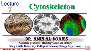 7 Cytoskeleton [upl. by Channa]