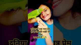 Payaliya ho ho ho song bollywood hindisong youtubeshorts [upl. by Anilehs]