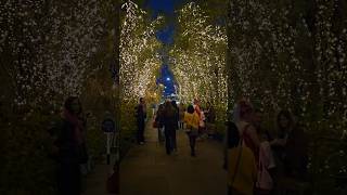 Bicester Village bicestervillage bicester england uk cristmas [upl. by Enymsaj]