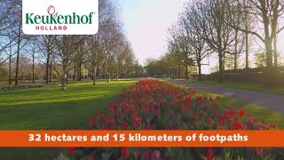 Keukenhof 2019 English [upl. by Gallenz411]