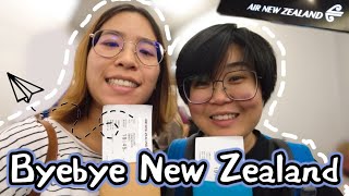 離開紐西蘭｜紐西蘭航空初體驗  Why Air New Zealand Is The Best Airline [upl. by Lytton82]