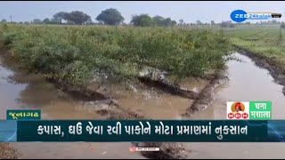 Fields left waterlogged due to unseasonal rainfall in parts of Junagadh Rabi crops severely damaged [upl. by Phonsa274]