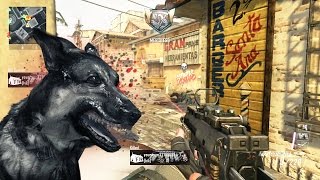 Black Ops 2 Dogs [upl. by Karrah]