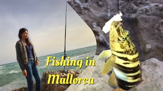 Fishing in Mallorca Island My Hobbies [upl. by Nnylak816]