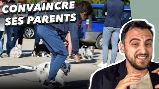 Comment convaincre ses parents davoir un chien  👀 [upl. by Bradley517]