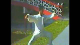 Master Ngiam Chen Style Taiji Quan 48 Steps [upl. by Booker]