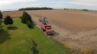 Harvest Chasing  Starting Out  Lenawee County  John Deere  Gleaner F2  Unknown International [upl. by Sholeen]