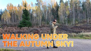 DAILY VLOG  Beauty of Autumn A Scenic Walk Through Fall Foliage 🍂  Espoo Finland [upl. by Rochkind626]