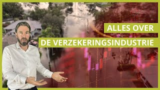 Verzekeringsindustrie onder Druk Wat We Leren van Verlies en Risico [upl. by Udela]