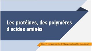 Les protéines des polymères dacides aminés [upl. by Steck]