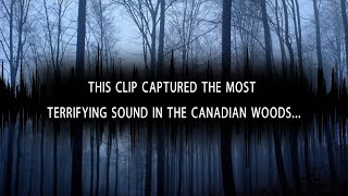 5 Scary Unexplained Sounds Recorded From The Woods…  Headphones ON Challenge [upl. by Feenah]