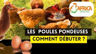 5 Étapes Pour Débuter lÉlevage des Poulets Pondeuses Facilement [upl. by Valerye]