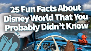 25 Fun Facts About Disney World That You Probably Didnt Know [upl. by Rehsu]