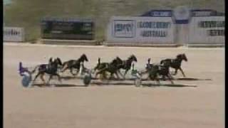 Horse Racing commentator loses his voice [upl. by Assirod]