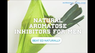 Natural Aromatase Inhibitors for Men [upl. by Ellenehs594]