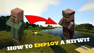 How to employ a NitWit Villager in Minecraft [upl. by Yoreel]