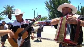 Los Halcones  Rancheras en la Calle [upl. by Inaluiak]