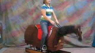 Kates Equestrian Exercises Part 2 Posting Trot exercise on the Equicizer [upl. by Neelahs]