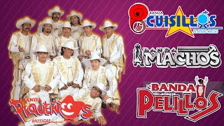 Pequeños Musical Banda Cuisillos Pelillos  Bandas Viejitas Pero Bonitas Mix Romanticas Movidas [upl. by Lyreb892]