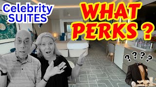 THE FACTS about CRUISE SHIP Suite Perks you didnt know [upl. by Arnon]