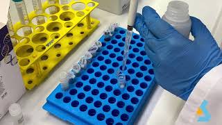 02  DNA Isolation from bacterial culture [upl. by Naujled]