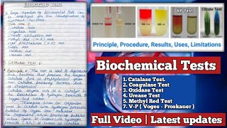 Biochemical Tests  Catalase Coagulase Citrate utilization Indole Oxidase Methyl Red Urease [upl. by Jessika]