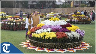 Preparations in full swing on eve of Chrysanthemum Show at Terraced Garden in Chandigarh [upl. by Osswald32]