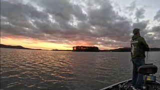 Live Lake Guntersville Bass fishing [upl. by Jepson]