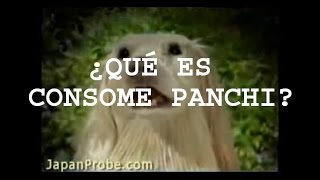 ¿Qué es Consomé Panchi [upl. by Jarib246]