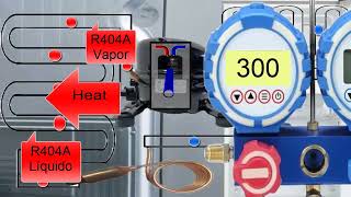 R404A Pressure Explained in Home Fridges Key Parts Functions and Troubleshooting Tips [upl. by Garwood]