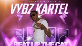 VYBZ KARTEL  BEAT UP THE CAT DOIN IT REMIX  19TH JUNE 2024 REMASTERED [upl. by Amrita740]